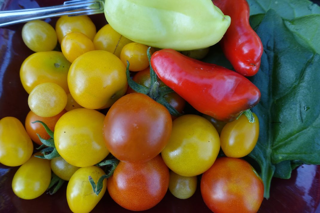 Ett fat med otroligt färgglada grönsaker bredvid varandra. 