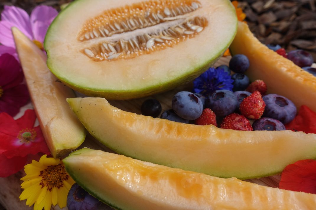 En tallrik med gyllengul melon, blåbär och röda smultron.