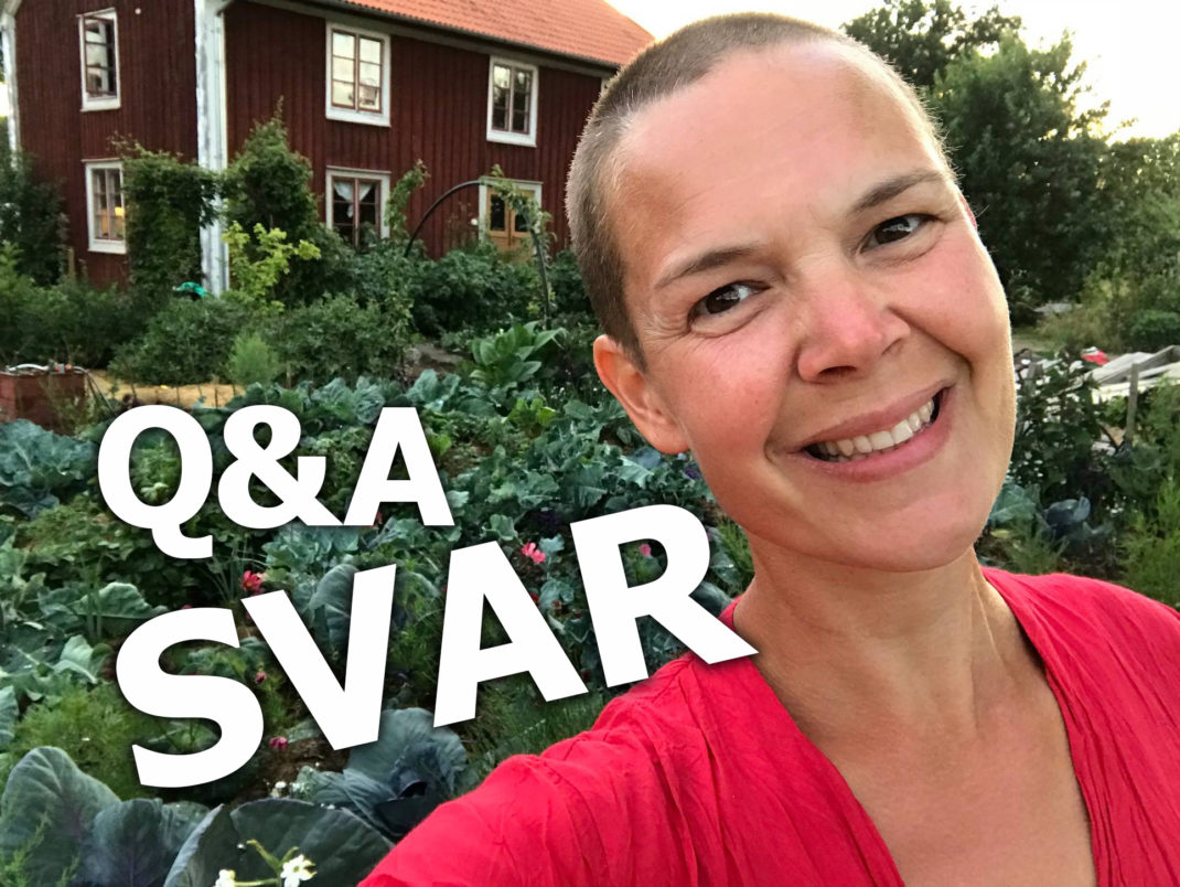 Bild av Sara i trädgården framför huset, med vit text "Q&A SVAR" ovanpå.