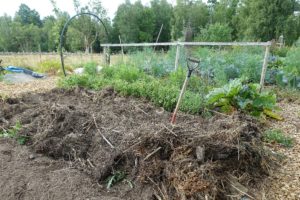 Bild på landen med stora högar av brunsvarta växtdelar på.