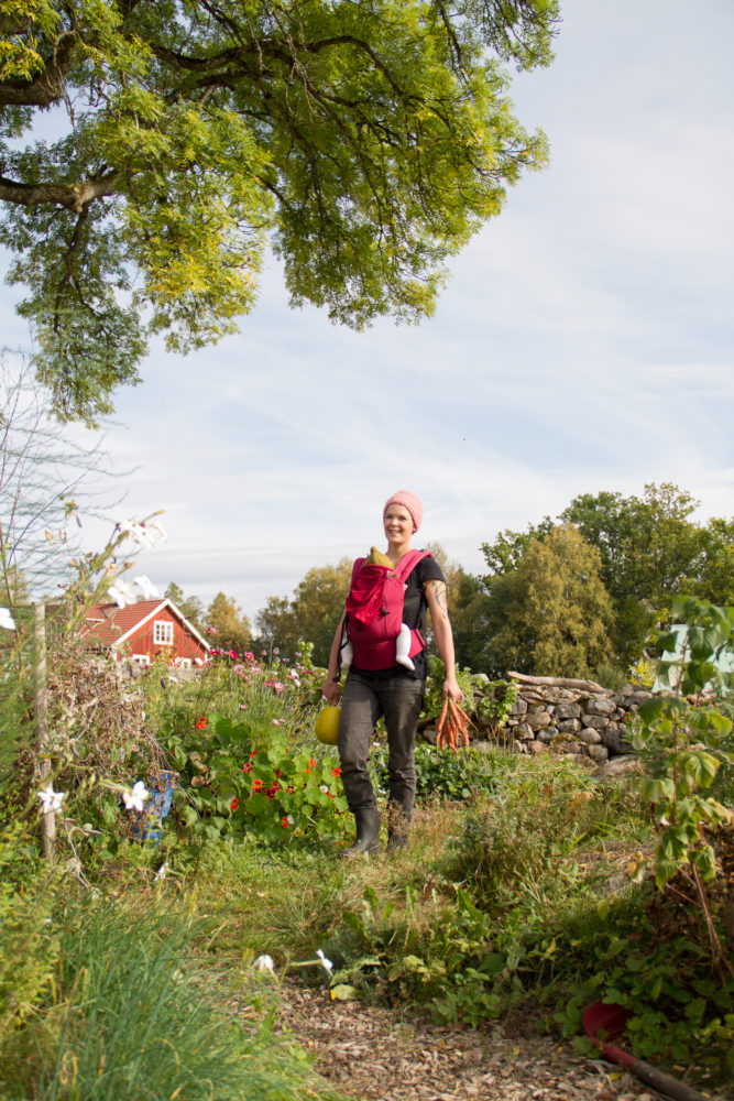 Sara bär ett barn i sele på magen medan hon skördar morötter.