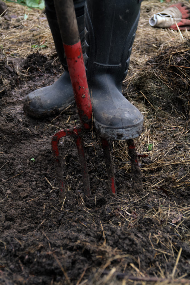 Ett par stövlar gräver i jorden.