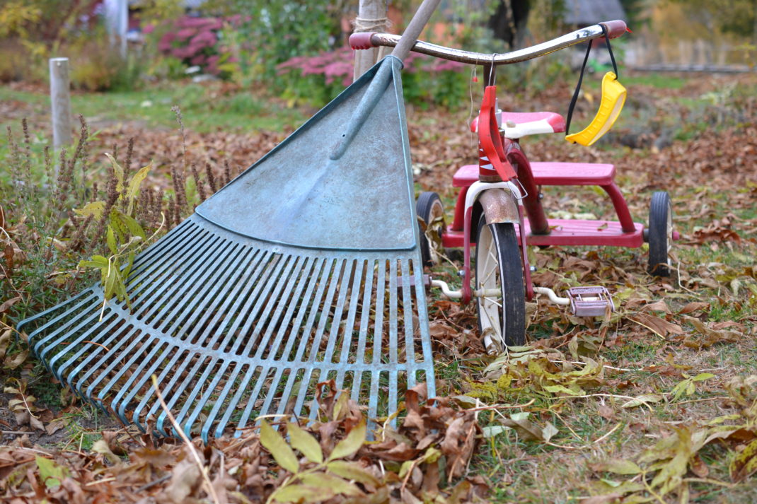 En kratta står lutad mot en röd trehjuling.