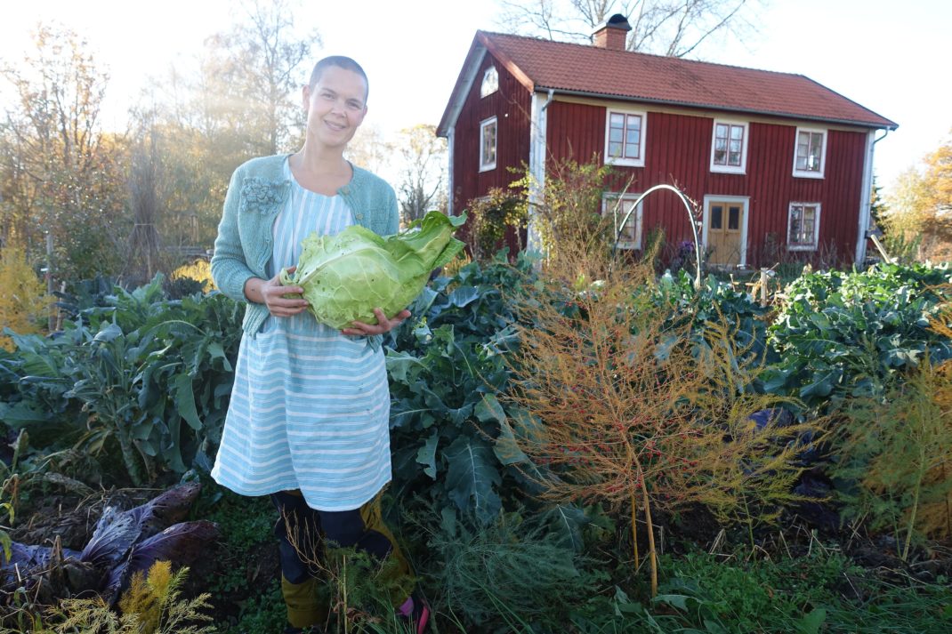 Sara står i köksträdgården i ljust turkosa kläder och bär ett grönt kålhuvud i famnen. 