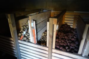 Träbingar i ett mörkt källarutrymme, fyllda med potatis.