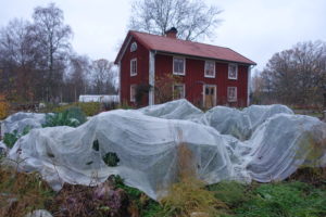 Hela skillnadens hus med en täckt köksträdgård framför.
