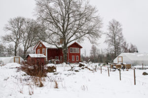 Huset Skillnaden tornar upp sig i vinterskrud sett från baksidan.