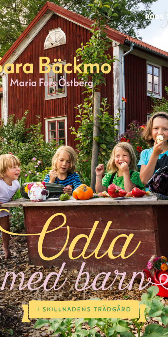 Ett bokomslag med fyra barn på framför ett rött hus på landet.