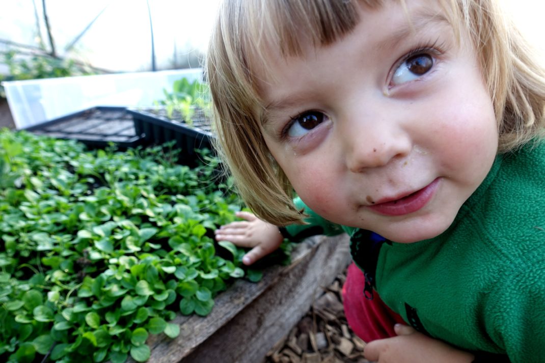 Ett litet barn med stora ögon sitter vid en grön matta av blad. 