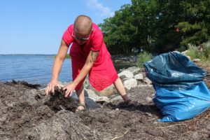 Sara plockar tång på stranden i rosa klänning och packar i blå plastsäck.