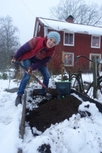 Sara gräver ner bokashi utomhus. Bredvid syns hinkar från bokashi.se.