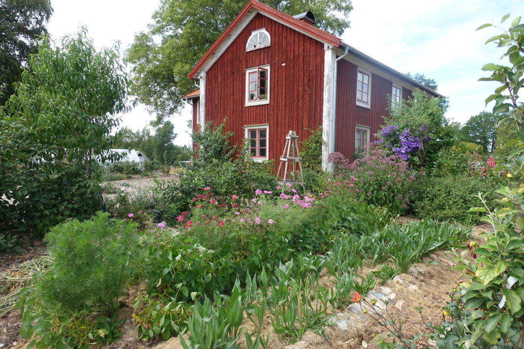 Huset skillnadens i en torr, torr trädgård.