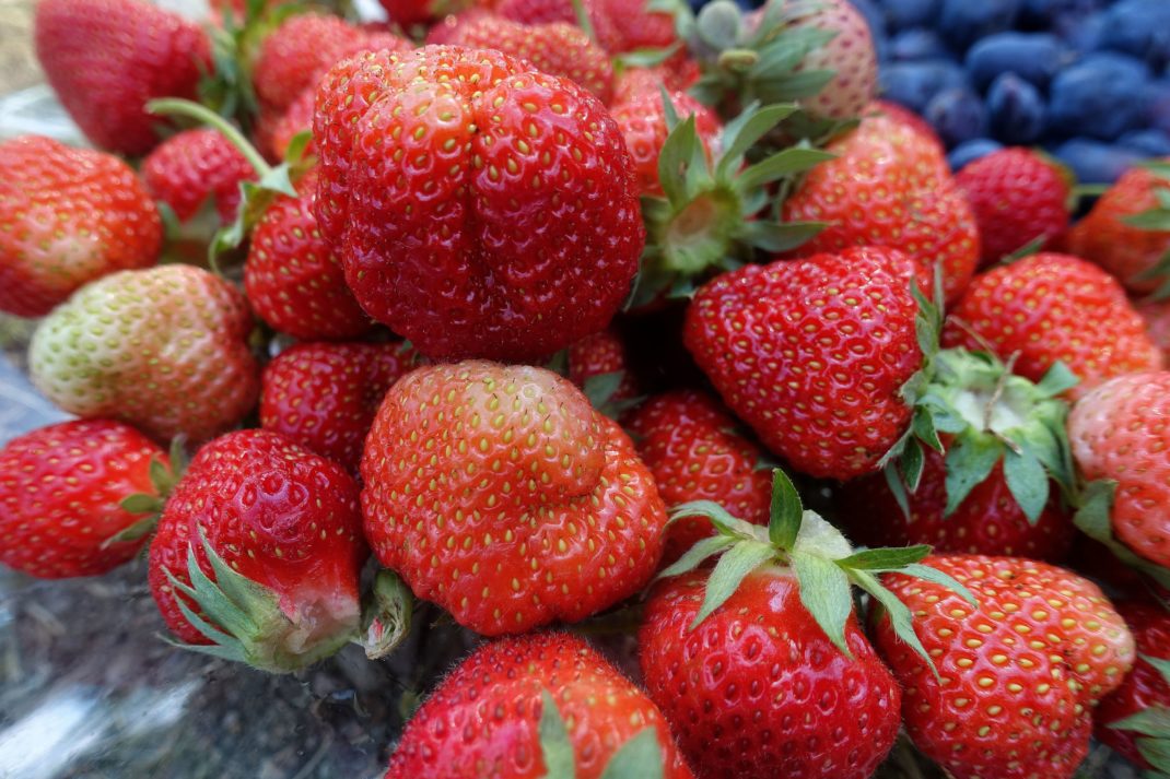 Närbild på färgglada jordgubbar på ett fat. 