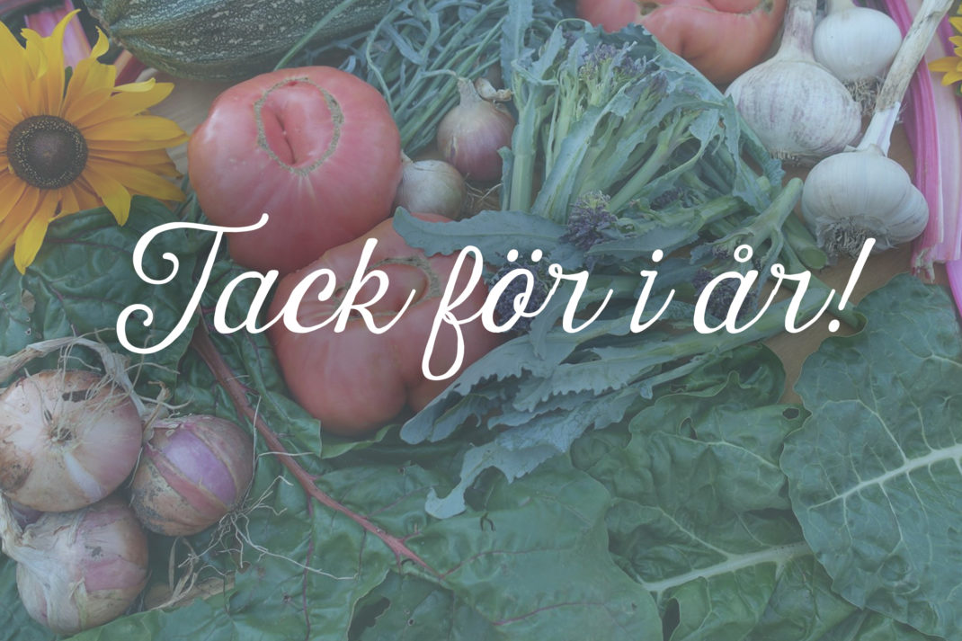 En bild av vacker skörd med texten "Tack för i år!"" ovanpå.