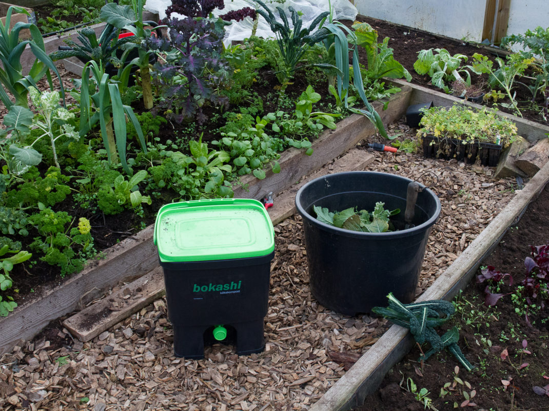 Bokashi-hink i växthuset bredvid en kruka.