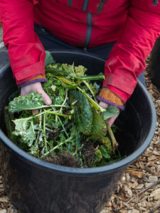 Trädgårdsskräp blandas i hinken.