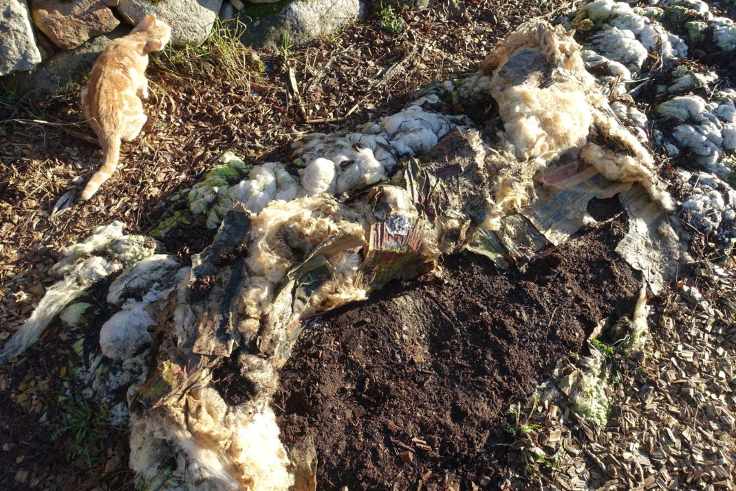 En bädd täckt av ull, där en del av ullen puttats åt sidan och blottar bar jord. 