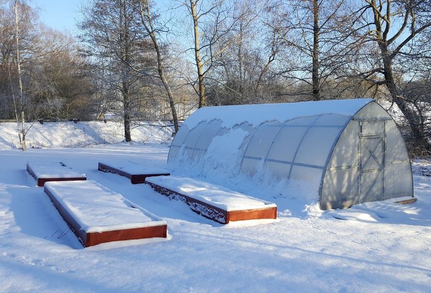 Ett vintrigt landskap med ett växthus täckt av snö. 