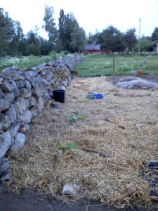 En yta täckt av halm alldeles bredvid stenmuren.