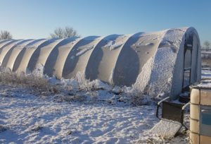 Ett snötyngt tunnelväxthus.