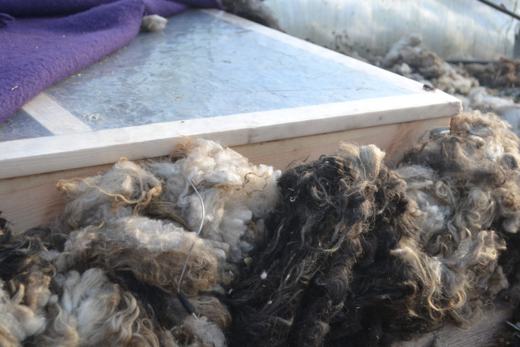 En varmbänk inbäddad i ull med en lila filt på.