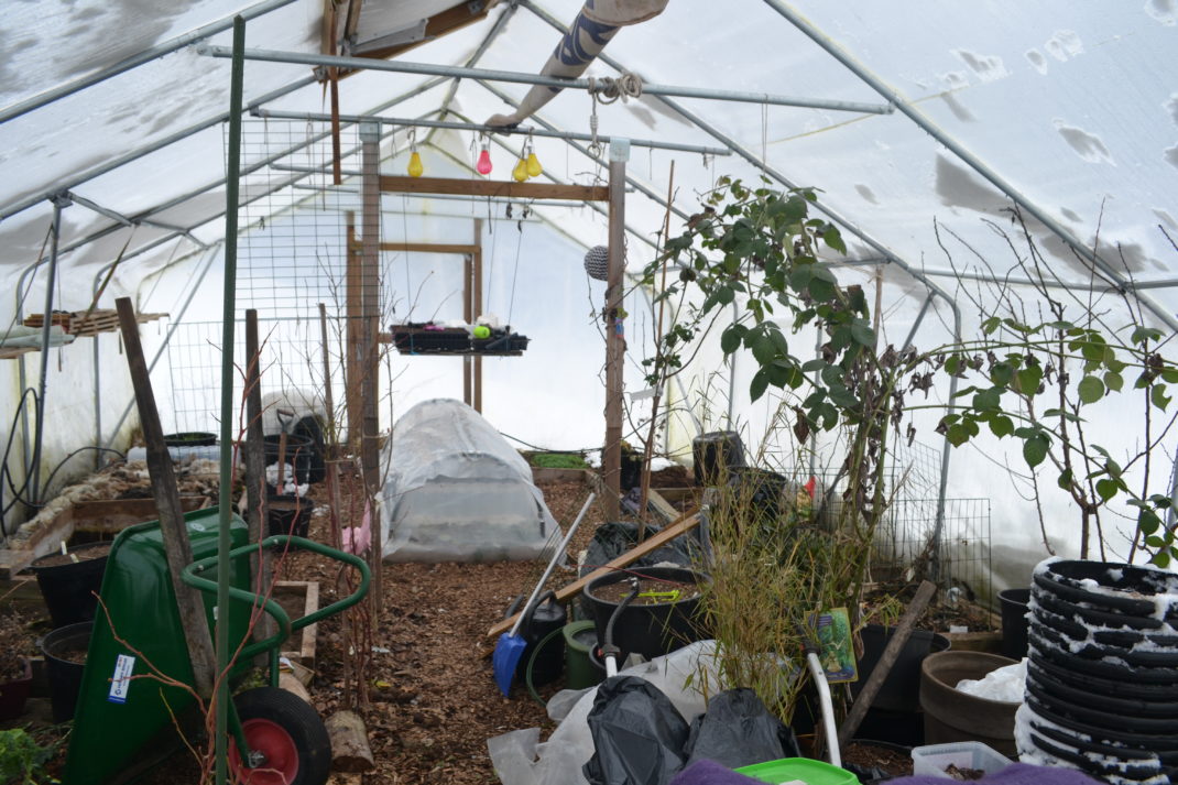 I februari är det grönt och trött i tunneln.
