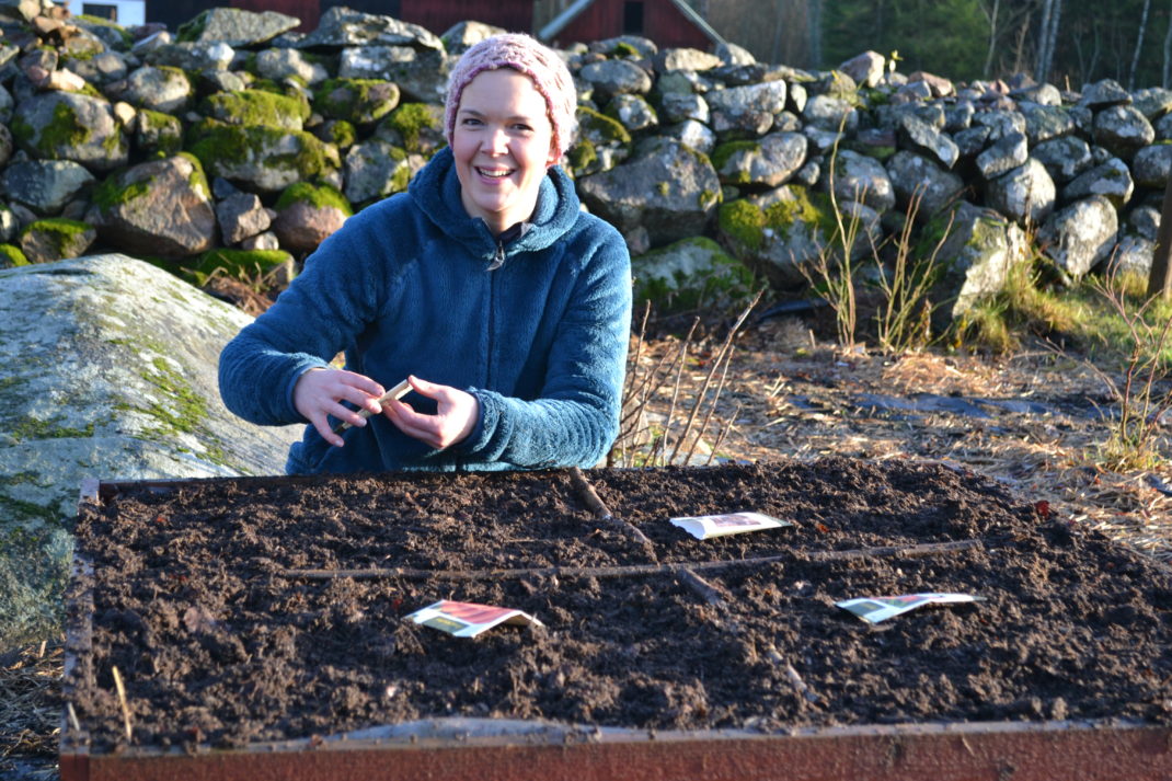 Saras sitter framför sin låda och ska göra en tidig sådd.