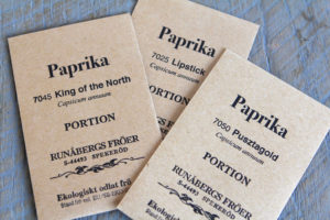 I månadens sådd i februari sår vi paprika i odlingspluggar.