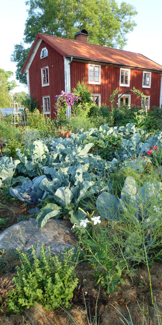 Huset och trädgårdens i Skillnadens.