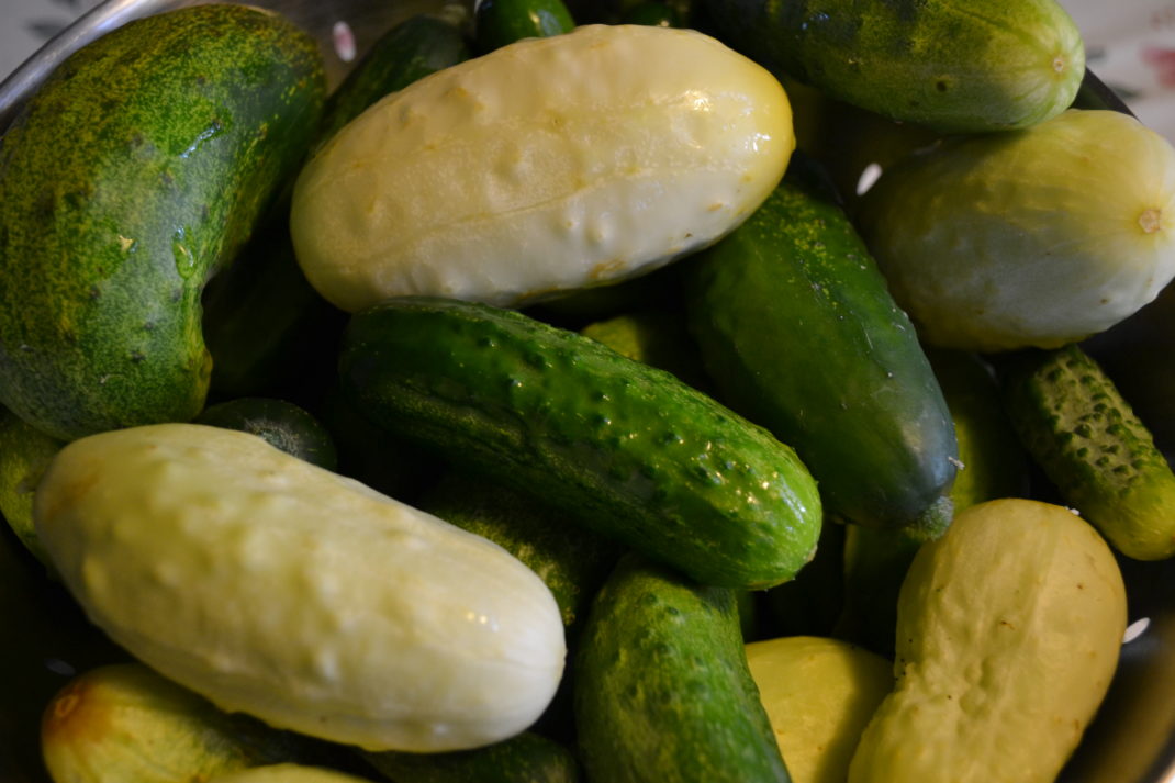 En skål med gröna och vita smågurkor.