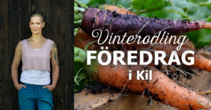 Presentationsbild inför föredraget