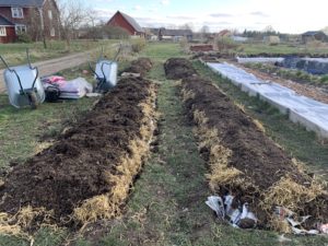 Två stora odlingsbäddar i en lantlig miljö.