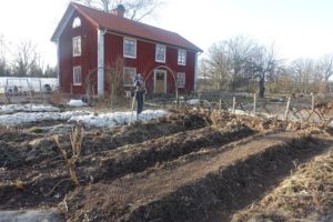 Skillnadens trädgård vinterodlas i februari.