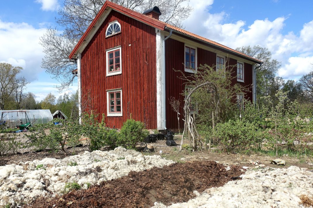 En övergripande bild på en del av köksträdgården, men odlingsbäddar täckta av ull och löv. Huset i bakgrunden. 