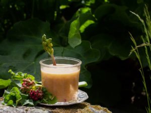 Smörig, rosa rabarbercurd i ett vackert glas.