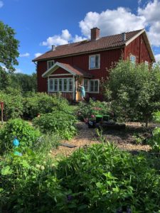 En köksträdgård med många växter och i bakgrunden ett rött trähus i två våningar.