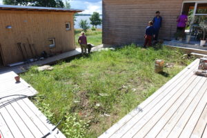 En igenvuxen innergård omgiven av trädäck.