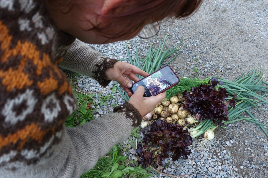 En kvinna står böjd över en hög med grönsaker och fotograferar den. 