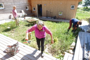 En innergård med massa ogräs i full sol.