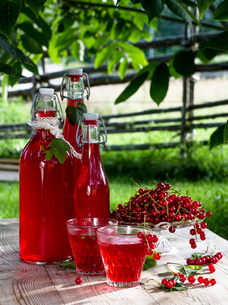Råsaft av vinbär - Sara Bäckmo