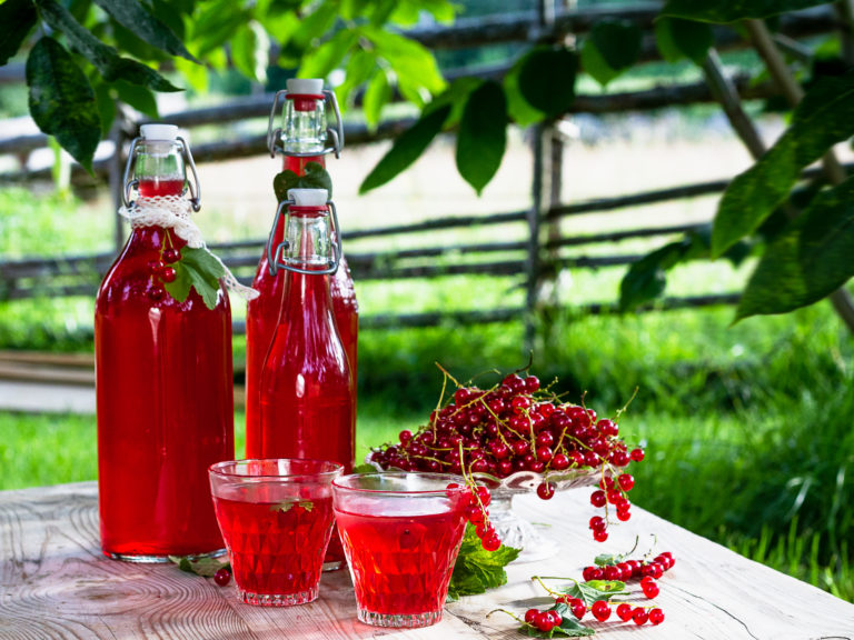 Råsaft av vinbär - Sara Bäckmo