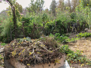 En pallkrage är fylld av ogräs.