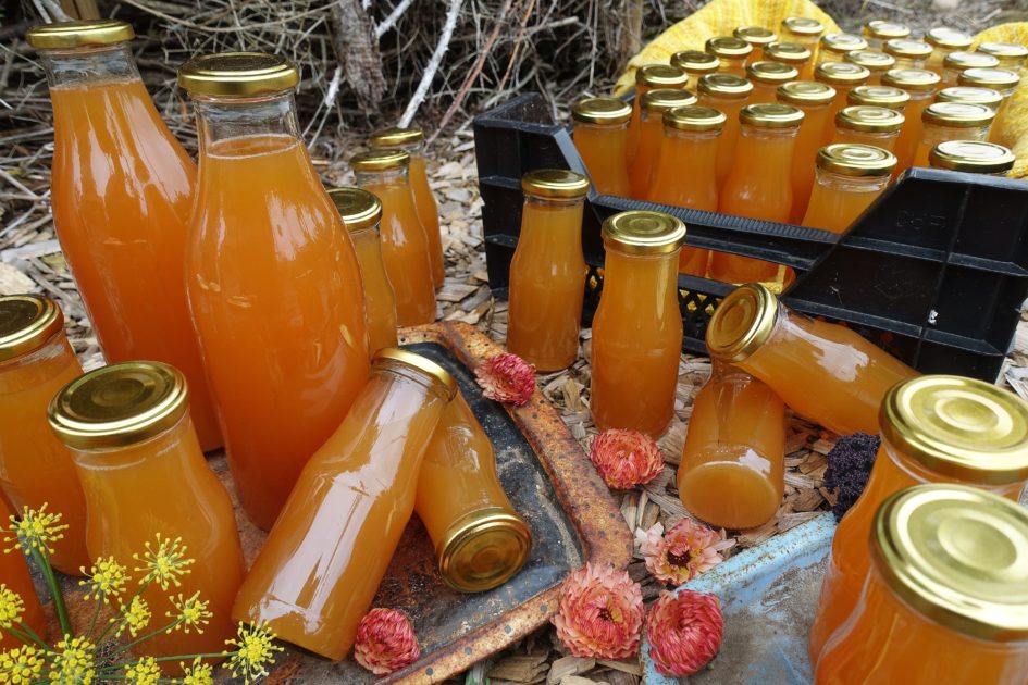 How To Make Homemade Apple Juice Sara's Kitchen Garden