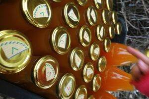 Små flaskor står tätt bredvid varandra, med en liten etikett med bokstav på locket.