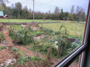 Skillnadens trädgård med odlingar sett från Saras arbetsrum.