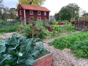Skillnadens trädgård med vackra odlingar i höstskrud.