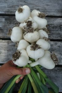 En stående bild på en fläta som snart är klar.