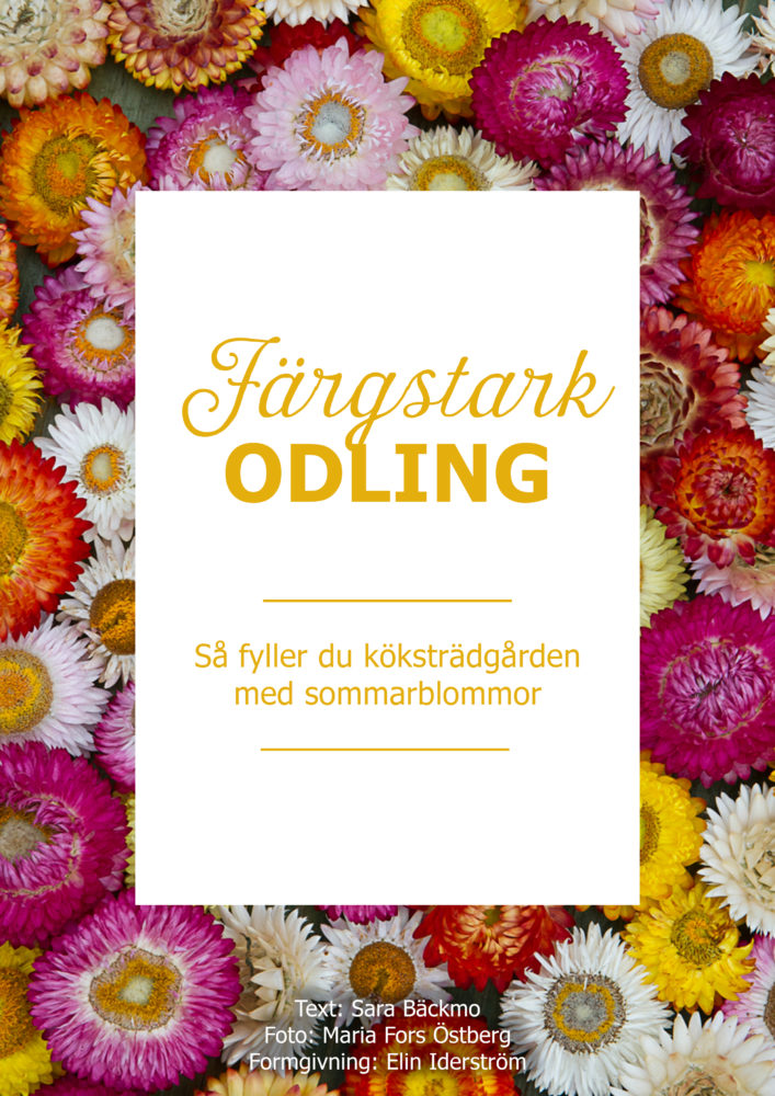 Ett blommande omslag till guiden Färgstark odling - Så fyller du köksträdgården med sommarblommor