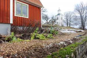 Ett litet rött hus med stenmur framför och en del av köksträdgård framför.