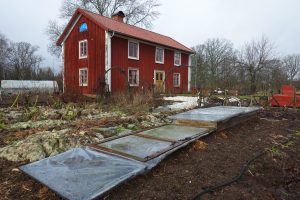 Köksträdgård på vintern utan snö.